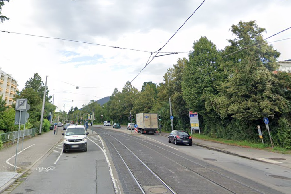 Jetzt müssen die Bäume weichen